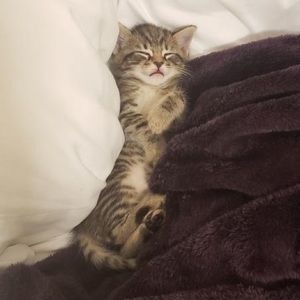 Meet your Posher, Brooke